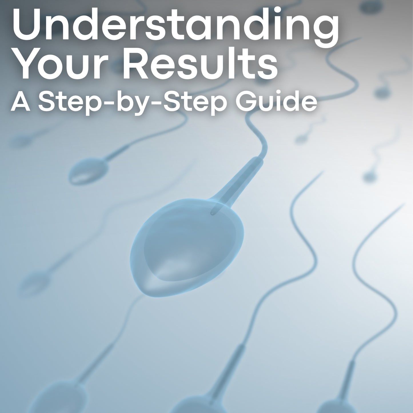 Understanding Your Results: A Step-by-Step Guide PDF