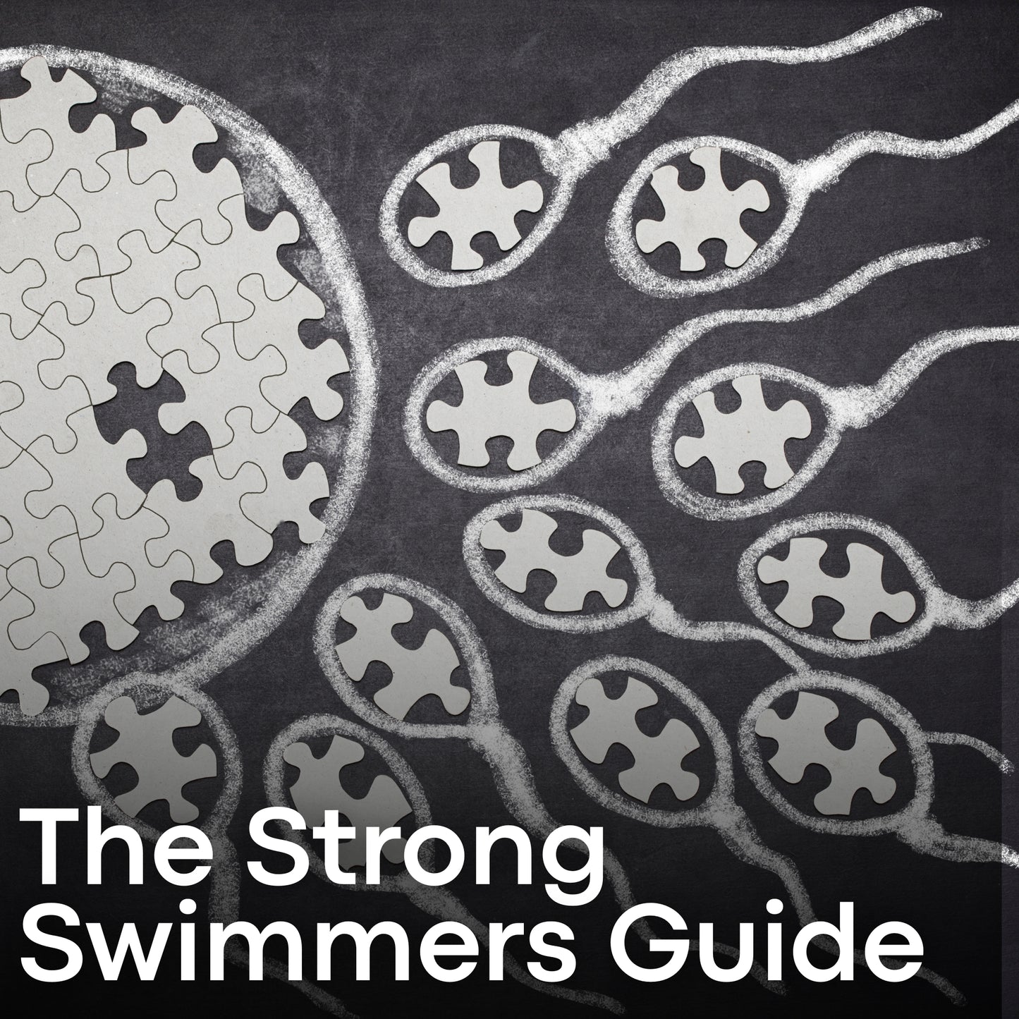 The Strong Swimmers Playbook: Proven Tips for Male Fertility Health PDF