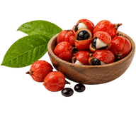 Guarana Extract