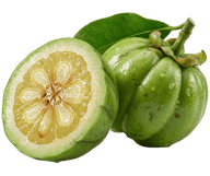 Garcinia Cambogia