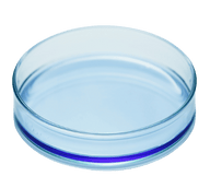 L-Carnitine